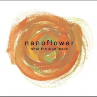 nanoflower