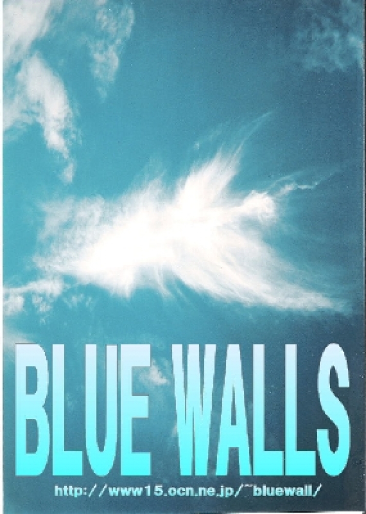 BLUE WALLS