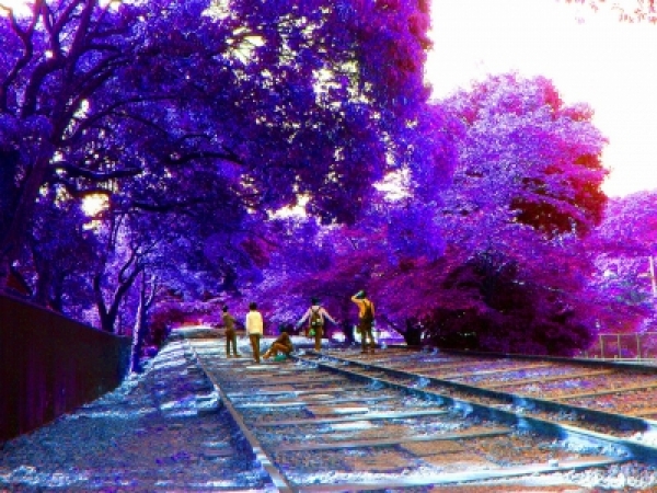 peek-a-boo! - インディーズ試聴サイトAudioleaf