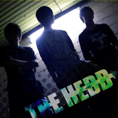 THE HEDD