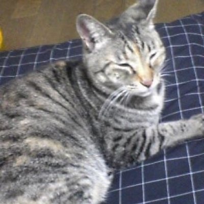 ぬるさとしめり