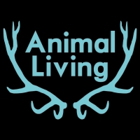 Animal Living