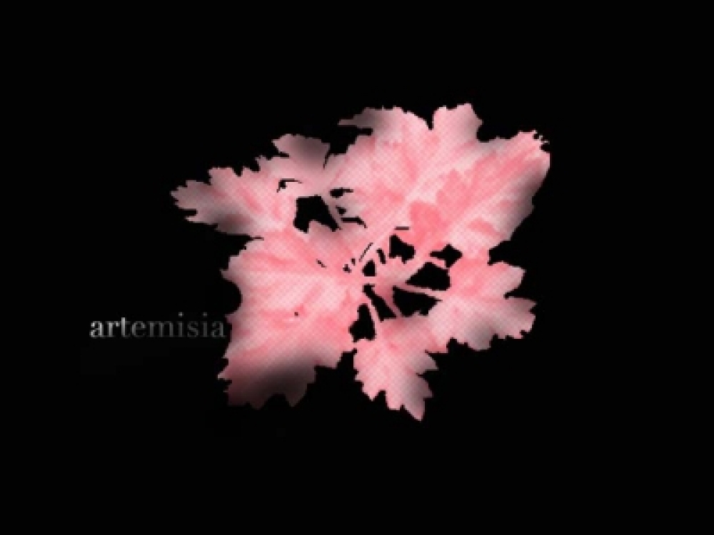 Artemisia