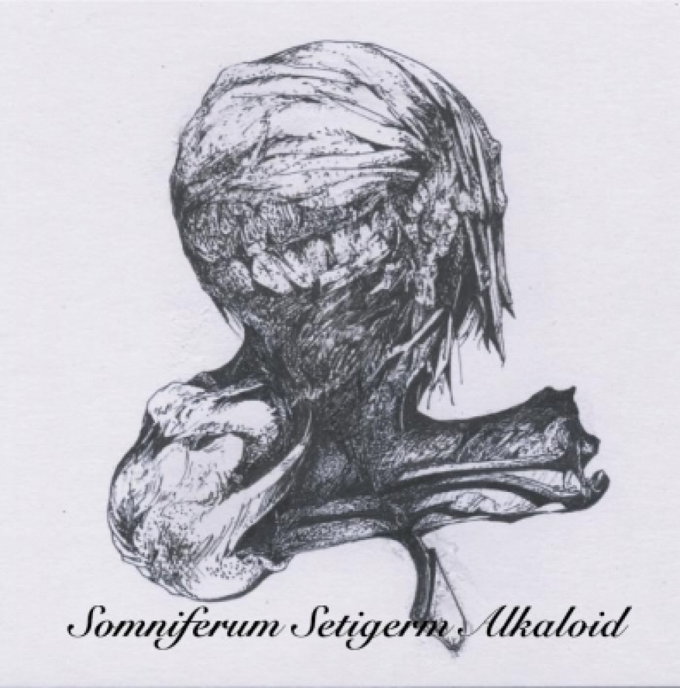 Somniferum Setigerm Alkaloid