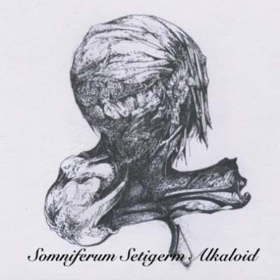 Somniferum Setigerm Alkaloid