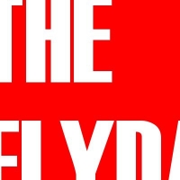 -THE FLIDAyS