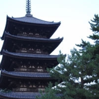 夕暮れポンズ