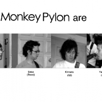 The Monkey Pylon