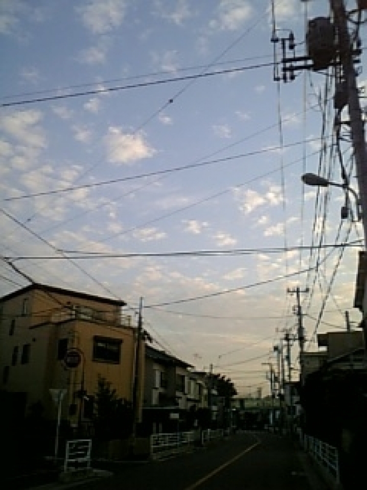 WHITE LINE