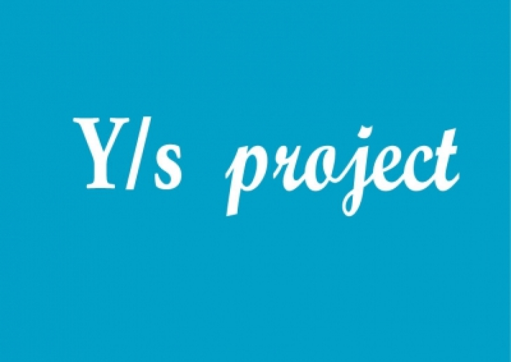 Y/s project