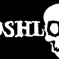MOSHLOOP　(New音源UP!2013/7/29)