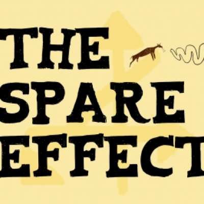 the spare effect