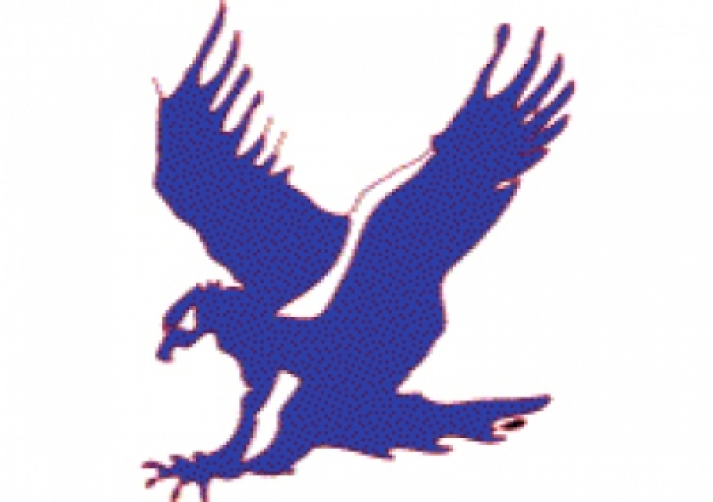 falcon