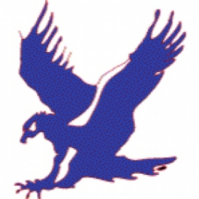 falcon