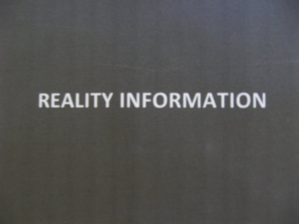 REALITY INFORMATION
