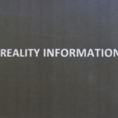 REALITY INFORMATION