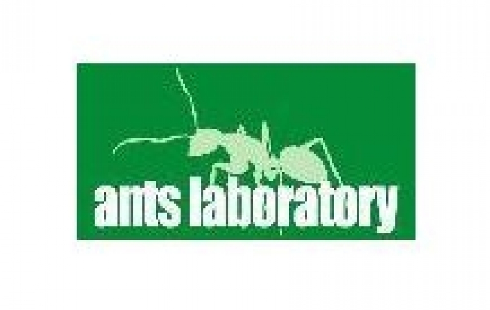 ants laboratory