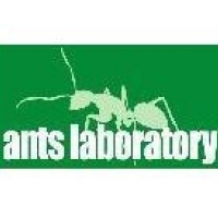 ants laboratory