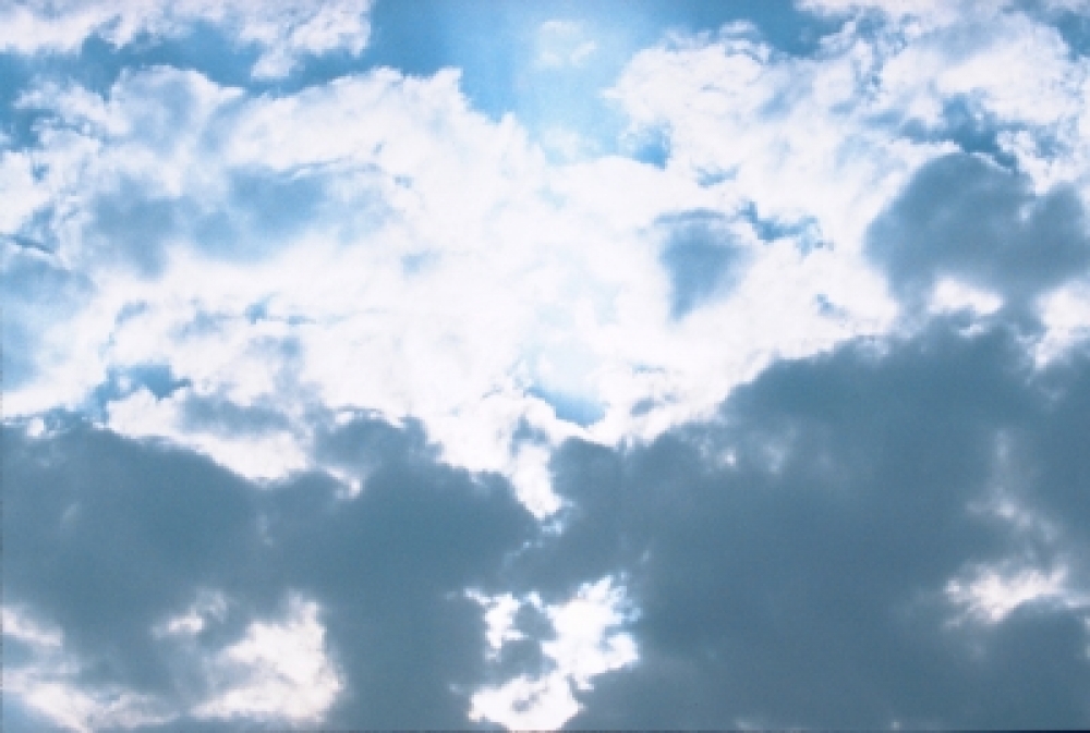 shougo