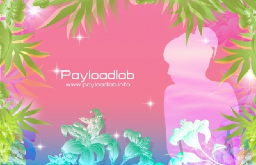 Payloadlab