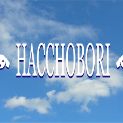 HACCHOBORI