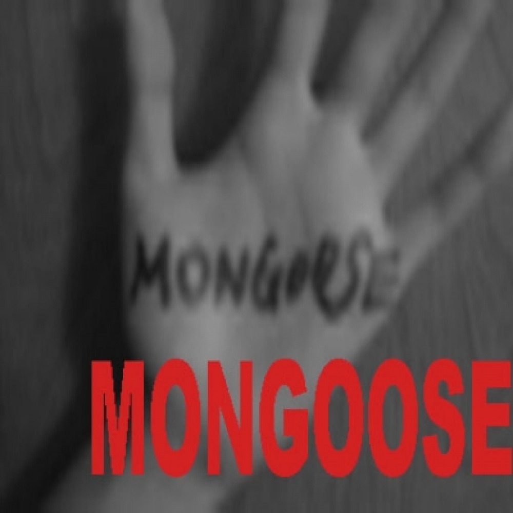 MONGOOSE