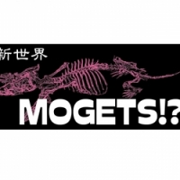 MOGETS!?