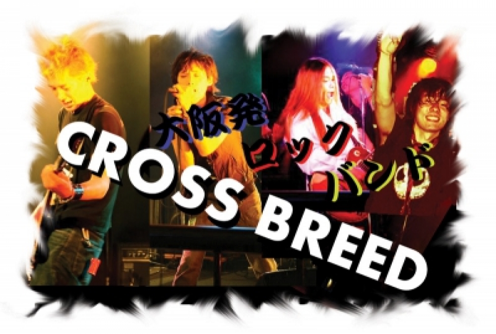 CROSS BREED