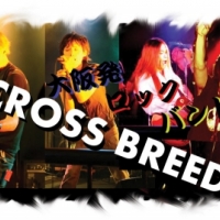 CROSS BREED