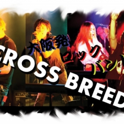 CROSS BREED