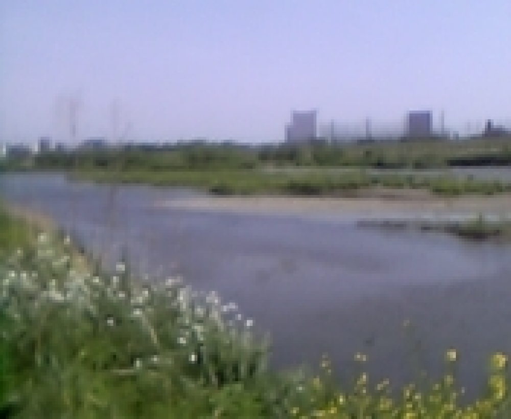 Oyamada
