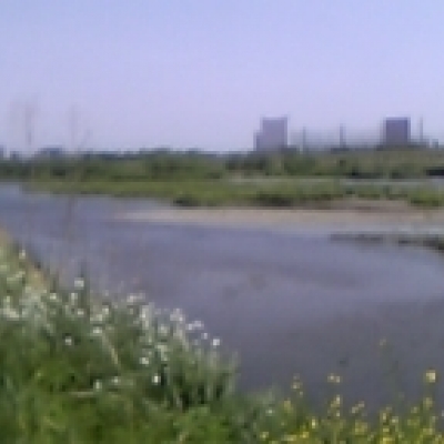 Oyamada