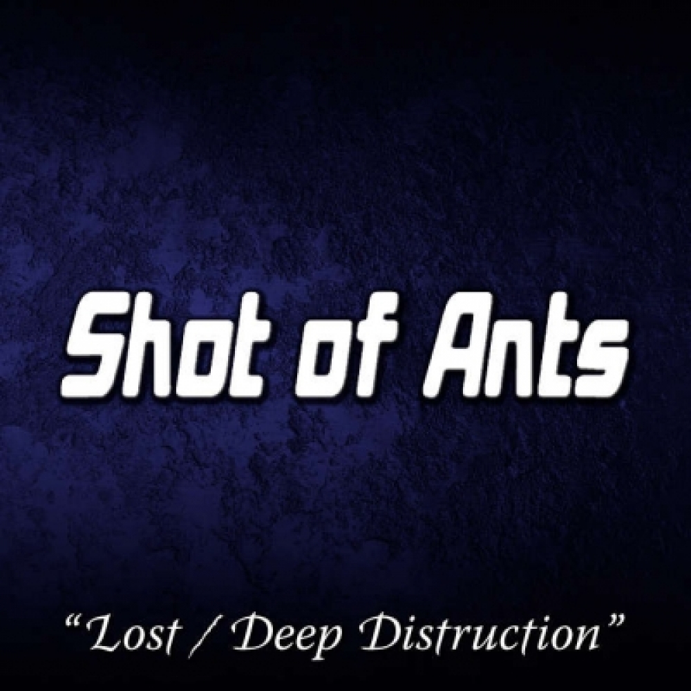 Shot of Ants