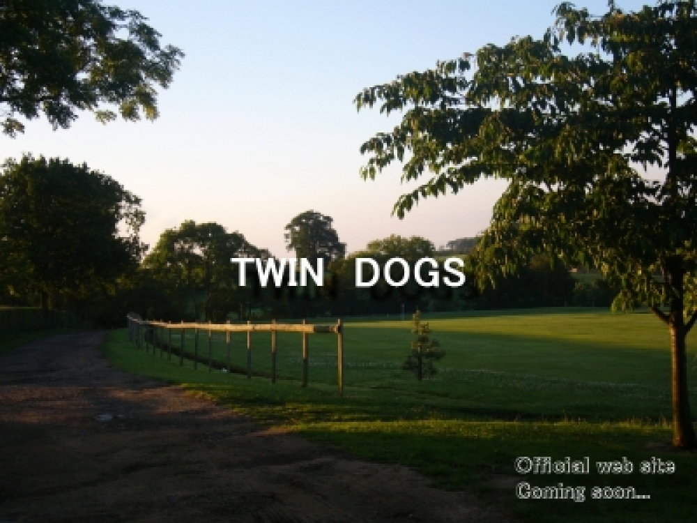 TWIN　DOGS