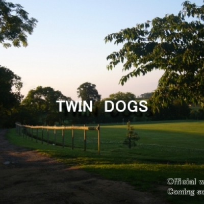 TWIN　DOGS