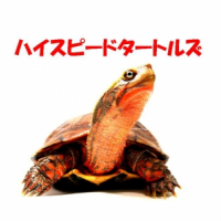 ハイスピードタートルズ