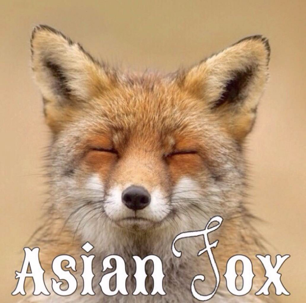 Asian Fox