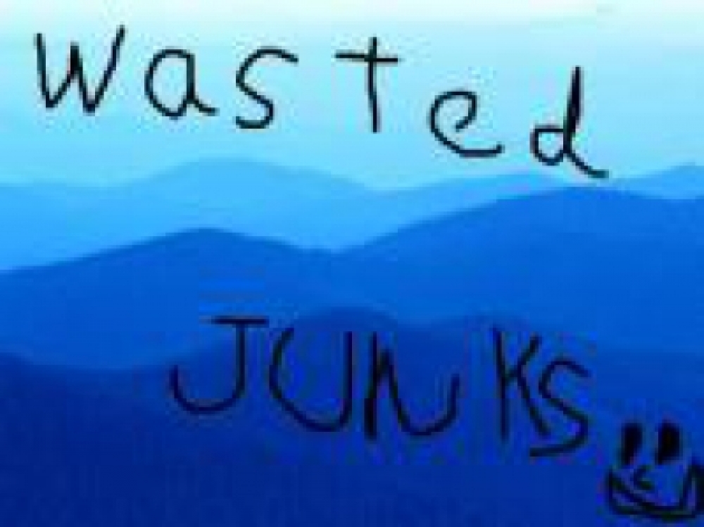 wasted junks