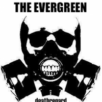 The Evergreen(Terraceじゃないよ)