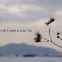 I wish I were a scientist