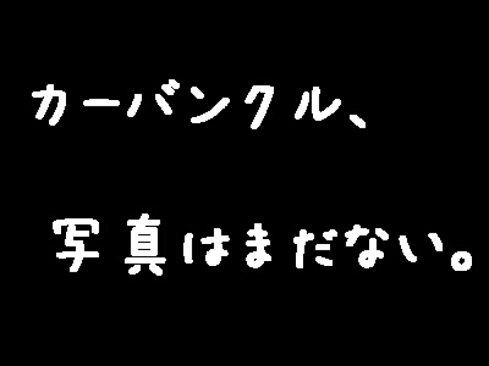 カーバンクル