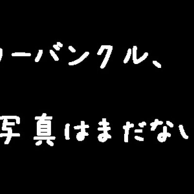 カーバンクル