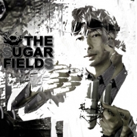 THE SUGAR FIELDS