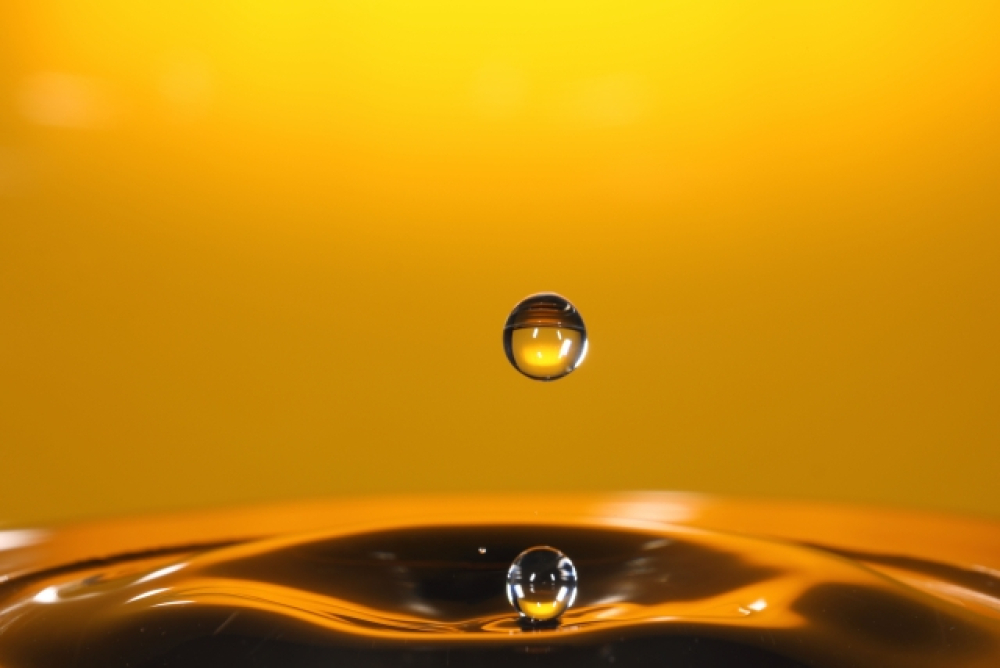 ザクロと羊（カバーver.）