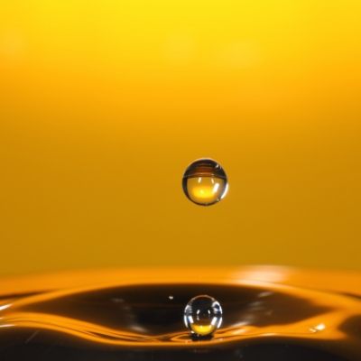 ザクロと羊（カバーver.）