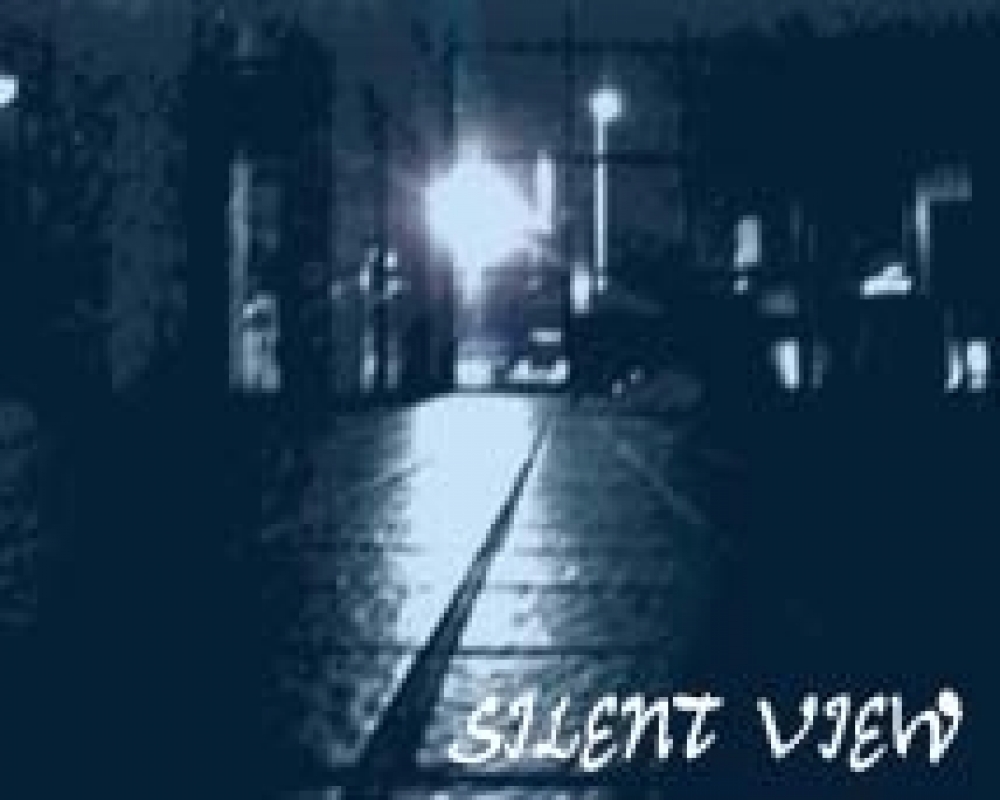 SILENT VIEW