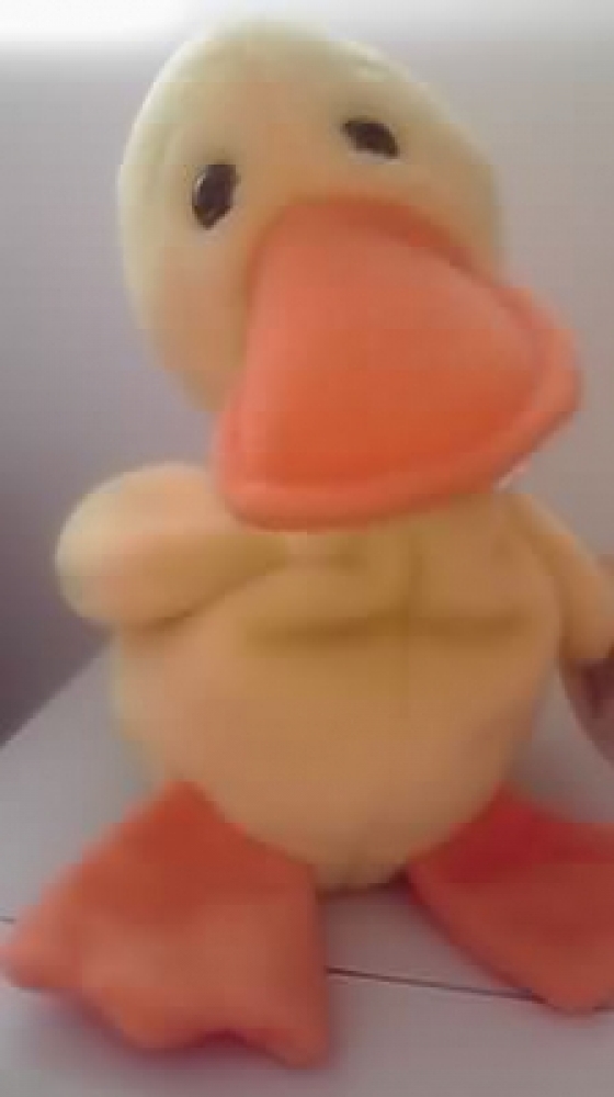 kxi