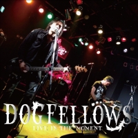 DOG FELLOWS