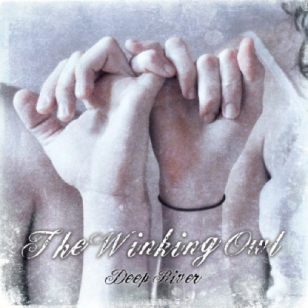The Winking Owl - インディーズ試聴サイトAudioleaf