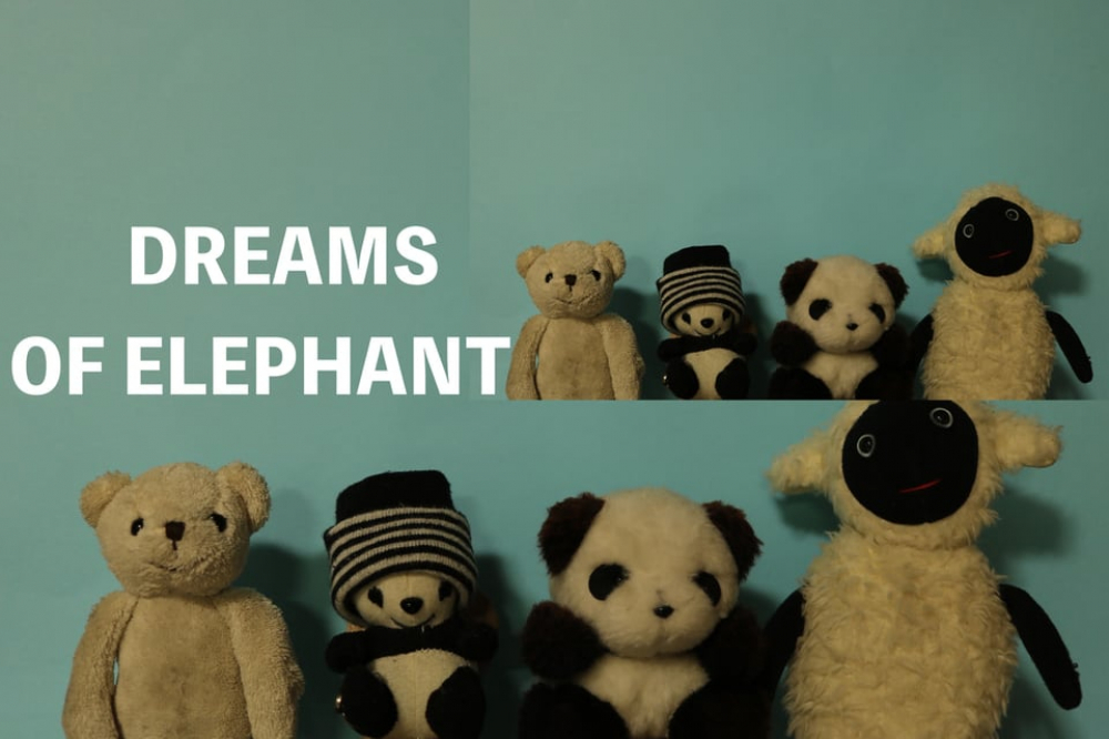 DREAMS OF ELEPHANT